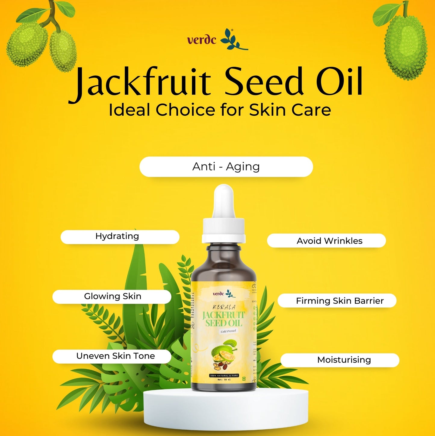 Premium Jackfruit Seed Oil for Face Beauty - Face Oil For Anti - aging - 50 ml My Store