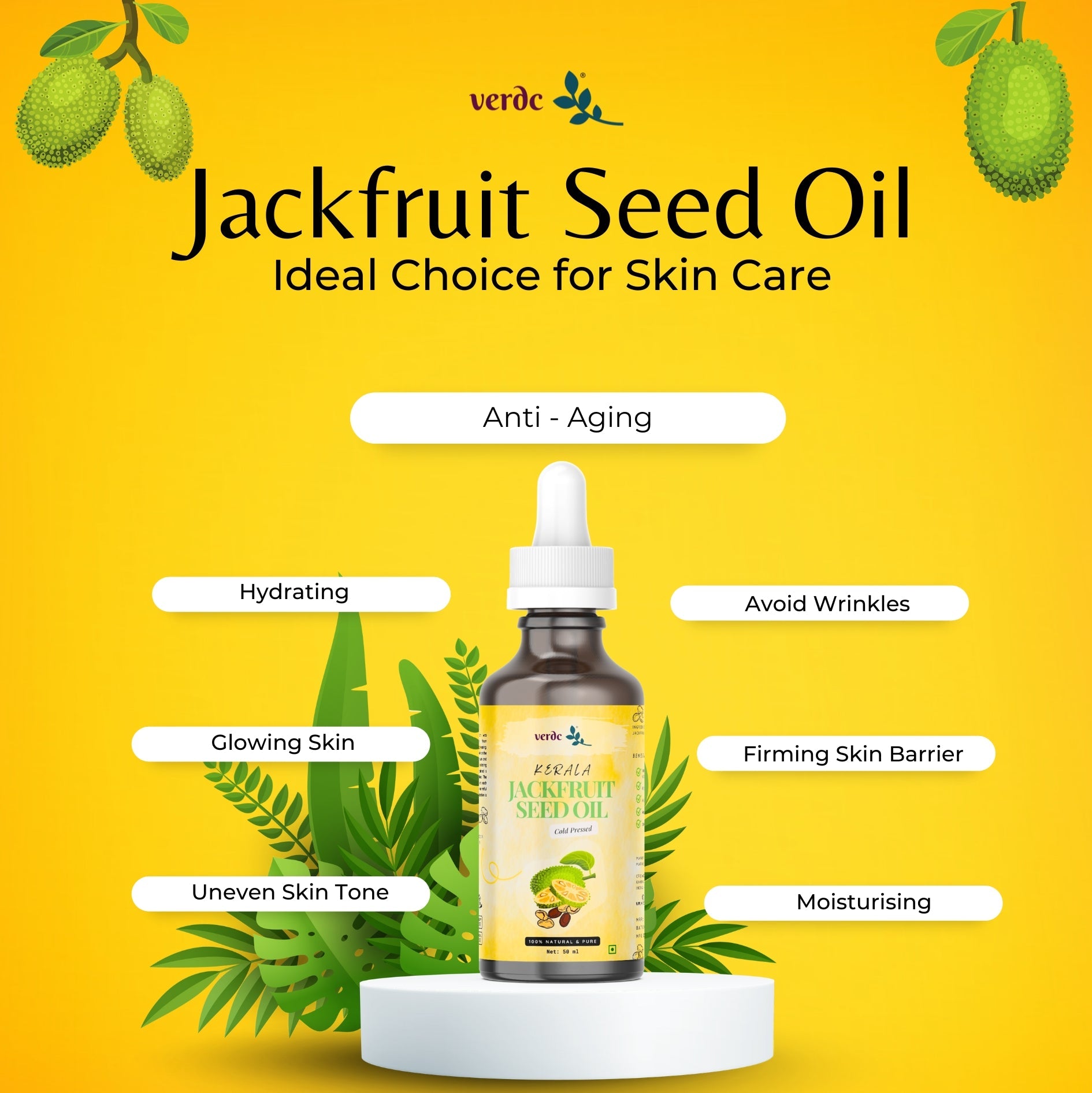 Premium Jackfruit Seed Oil for Face Beauty - Face Oil For Anti - aging - 50 ml My Store