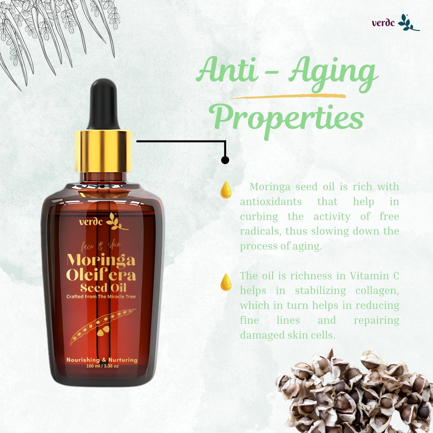 100% Pure Organic Moringa Seed Oil - Premium Moringa Oleifera Seed Oil -100 ML My Store